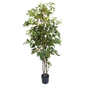 POTTED FICUS TREE 1.5M