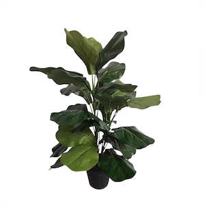 POTTED FIDDLE TREE 69CM