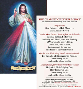 Divine Mercy Laminated Prayer Card Family Life Catholic Gifts