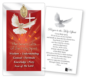 Holy Spirit Card and Medal Family Life Catholic Gifts