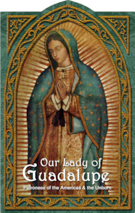 Our Lady of Guadalupe Holy Card Family Life Catholic Gifts