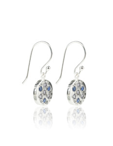 Sapphire & Iolite Silver Earrings