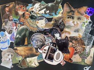 Catnap - Cats and Collage