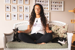 Catnap - Meditation with Cats