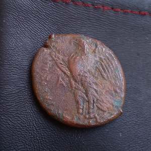 #N894# Sicilian Greek coin of Hiketas II from Syracuse, 287-278 BC.