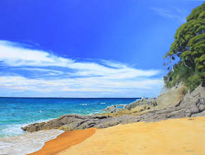 David Cournane-Anapai Bay, Abel Tasman