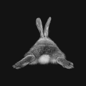 Art gallery: Karen Rankin Neal-Cotton Tail