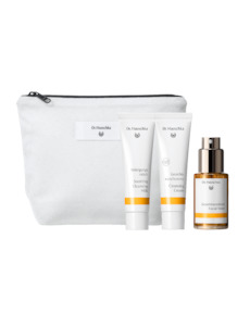 Health food wholesaling: Dr. Hauschka 3-piece Travel Set - Each