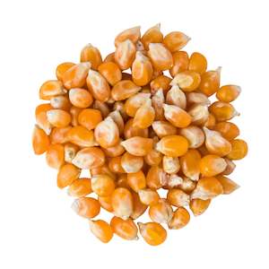 Health food wholesaling: Corn Popping Organic - 3 kg