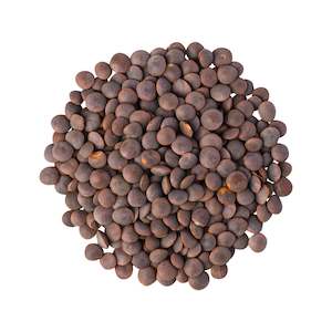 Health food wholesaling: Lentils Brown Organic - 3.5kg