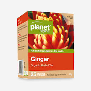 Health food wholesaling: Ginger Tea 25 bag - 25 Bag