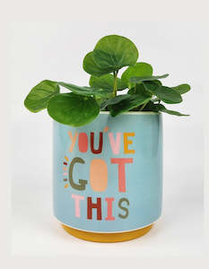 Gift: Planter You've Got This Blue