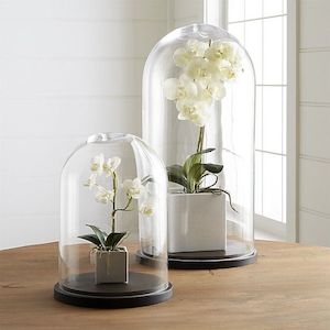 Glass Dome: French Country Medium Dome Black Base