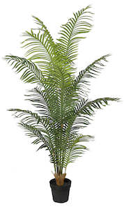 Greenery: Hawaiian Palm Tree Potted 1.8m