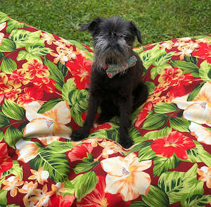 Outdoor All Weather Dog Bed (Unfilled) - Tropical Garden