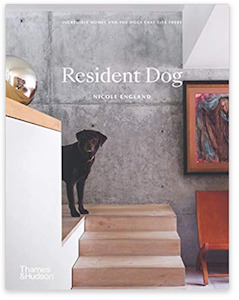 Pet: Resident Dog