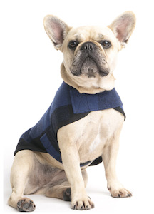 Pet: Dark Blue Tartan Wool Walking Coat