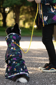 Paradiso Lined Raincoat for Dogs