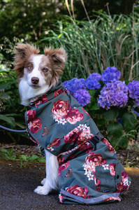 Military Peony Lined Raincoat for Dogs