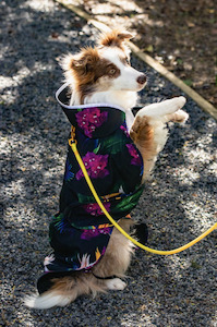 Paradiso Fleece Bonded/Softshell Raincoat for Dogs