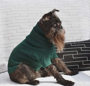 Pet: Dark Forest Green Winterweight Merino Tee