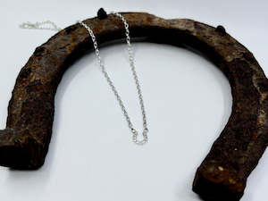 Horseshoe and Belcher Chain Necklace