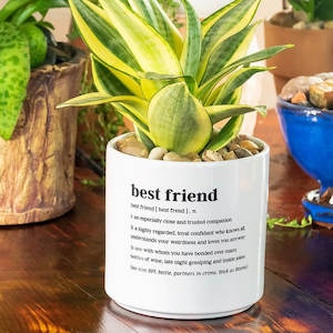 DEFINED BEST FRIEND PLANTER