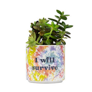 Gift: BLURRED I WILL SURVIVE TIE DYE PLANTER - SMALL