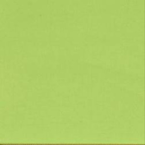 Books: Cotton Drill 110cm Lime