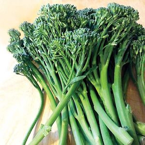 Seedlings: Broccoli Broccolini Seedlings