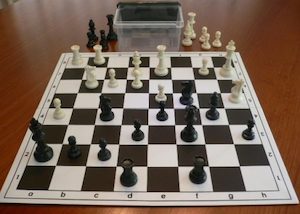 Standard Plastic Chess Set, Folding Board 55mm Squares and Container