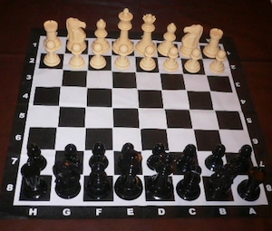 Garden Chess Set 206mm King and Vinyl Mat