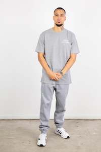 Clothing: DENZEL T-SHIRT GREY