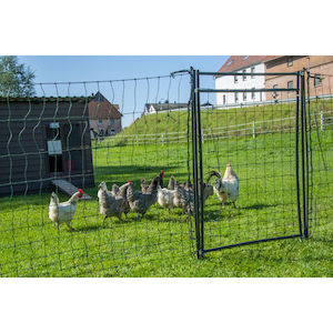 Fencing: Hotline Rigid Poultry Hot-Gate System