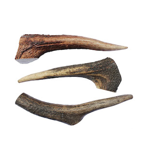 Deer Antler Dog Chew Small