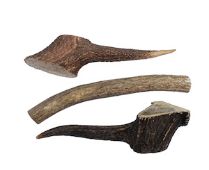 Deer Antler Dog Chew Medium