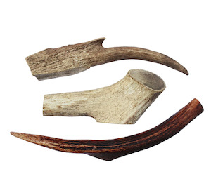 Deer Antler Dog Chew Large