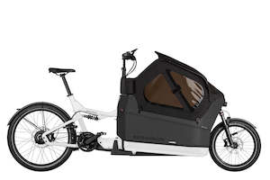 Bicycle and accessory: Riese and Muller Packster2 70 CT