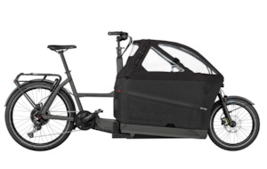 Bicycle and accessory: Riese and Muller Packster2 70 Family