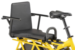 Bicycle and accessory: Tern Captain's Chair G2