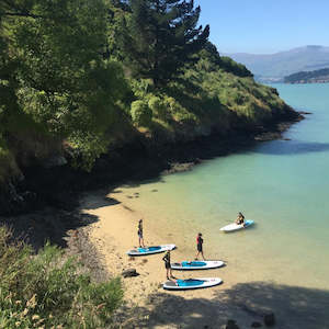 Christchurch Paddleboarding Lesson Gift Voucher