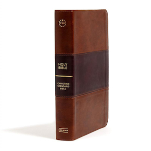 Books: CSB Bible Reference Large Print Personal Leathertouch Saddle Brown by Holman. Christian Resource Centre