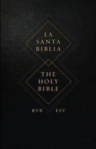 Books: ESV Spanish English Parallel Bible. Christian Resource Centre