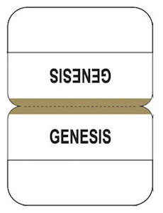 Bible Indexing Tabs Standard Gold. Christian Resource Centre