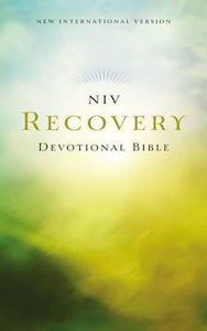 NIV Bible 2011 Devotional Recovery Paperback by Zondervan. Christian Resource Centre