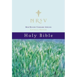 NRSV Catholic Edition Bible Hillside Scenic Paperback. Christian Resource Centre