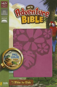 Books: NKJV Bible Adventure Duotone Raspberry. Christian Resource Centre