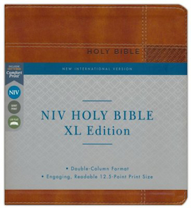 NIV Holy Bible XL Edition Brown I/L. Christian Resource Centre