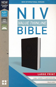 NIV Value Thinline Bible Large Print Gray and Black, Imitation Leather by Zonder…