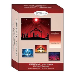 Christmas Card Box - 12 Cards & Envelopes (Shared Blessings)